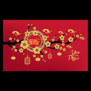 Meet your Posher, Wilson